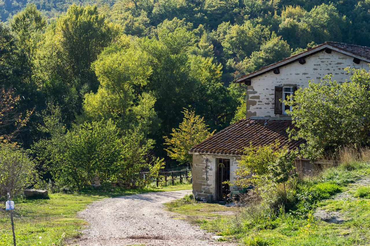 Agriturismo L'Oca Blu Hotell Gubbio Exteriör bild